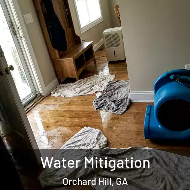  Water Mitigation Orchard Hill, GA