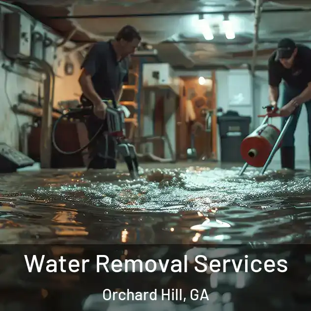  Water Removal Services Orchard Hill, GA