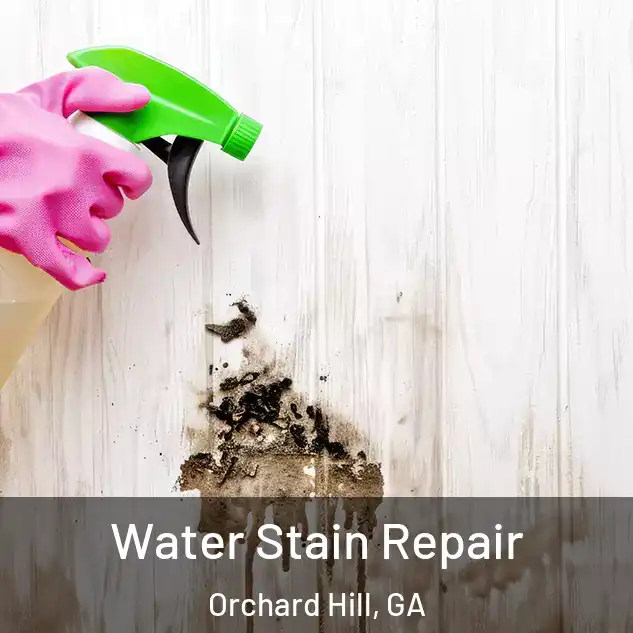  Water Stain Repair Orchard Hill, GA