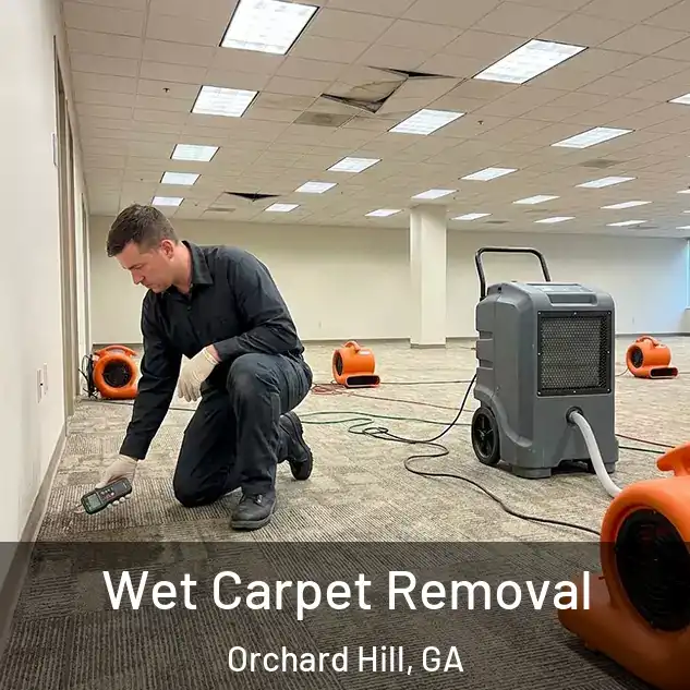  Wet Carpet Removal Orchard Hill, GA